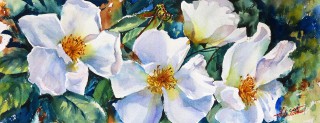 A Watercolour painting by Helen Cottle in the Realist Impressionist style  depicting Flowers with main colour being Green White and Yellow and titled In Full Bloom