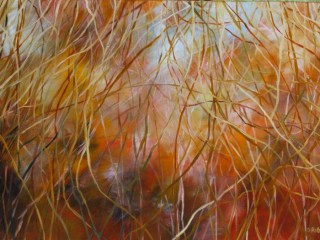 A  painting by Dawn Robinson with main colour being Orange and titled Looking Through