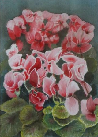 A Watercolour painting by John Vander Reest in the Realist style  depicting Flowers with main colour being Green Pink and Red and titled Cyclamen