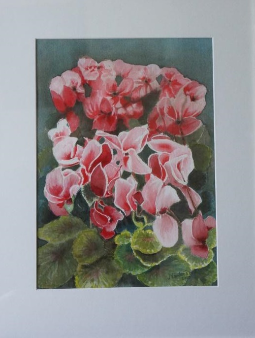 Watercolour Painting by John Vander Reest titled Cyclamen