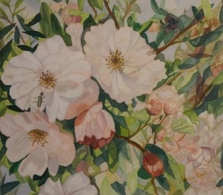 A Watercolour artwork by John Vander Reest in the Realist style  depicting Flowers with main colour being Green and Pink and titled Crab Apple