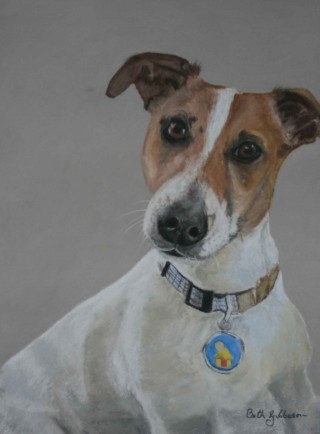 A Pastel painting by Beth Gibbeson in the Realist style  depicting Animals and Dogs with main colour being Brown Grey and White and titled Almost Fearless (Jack)