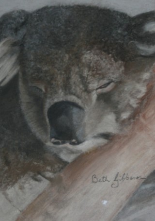 A Pastel painting by Beth Gibbeson in the Realist style  depicting Animals with main colour being Grey and titled Sleepy Koala