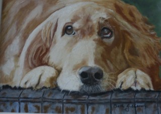 A Pastel painting by Beth Gibbeson in the Realist style  depicting Animals and Dogs with main colour being Cream Grey and Ochre and titled Sorry!