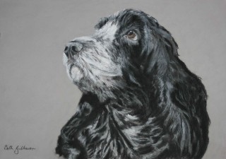A Pastel painting by Beth Gibbeson in the Realist style  depicting Animals Dogs with main colour being Black Grey and White and titled Ruby
