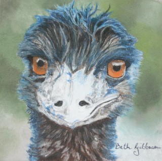 A Pastel painting by Beth Gibbeson in the Realist style  depicting Animals and Birds with main colour being Blue Green and Grey and titled A Blue Rinse (Cheeky Emu)
