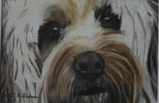 A Pastel painting by Beth Gibbeson in the Realist style  depicting Animals and Dogs with main colour being Black Brown and Cream and titled Scruffy
