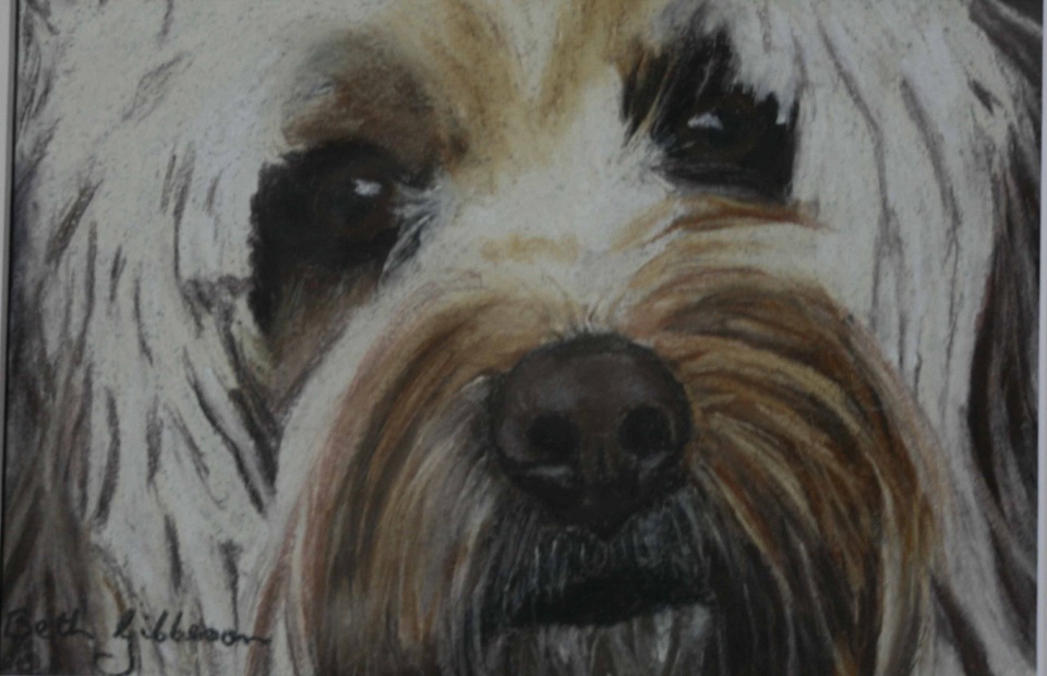 Pastel Painting by Beth Gibbeson titled Scruffy