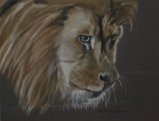 A Pastel painting by Beth Gibbeson in the Realist style  depicting Animals with main colour being Black Cream and Grey and titled Alert