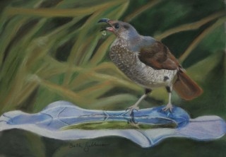 A  painting by Beth Gibbeson Birds with main colour being Green and titled Cooling Off