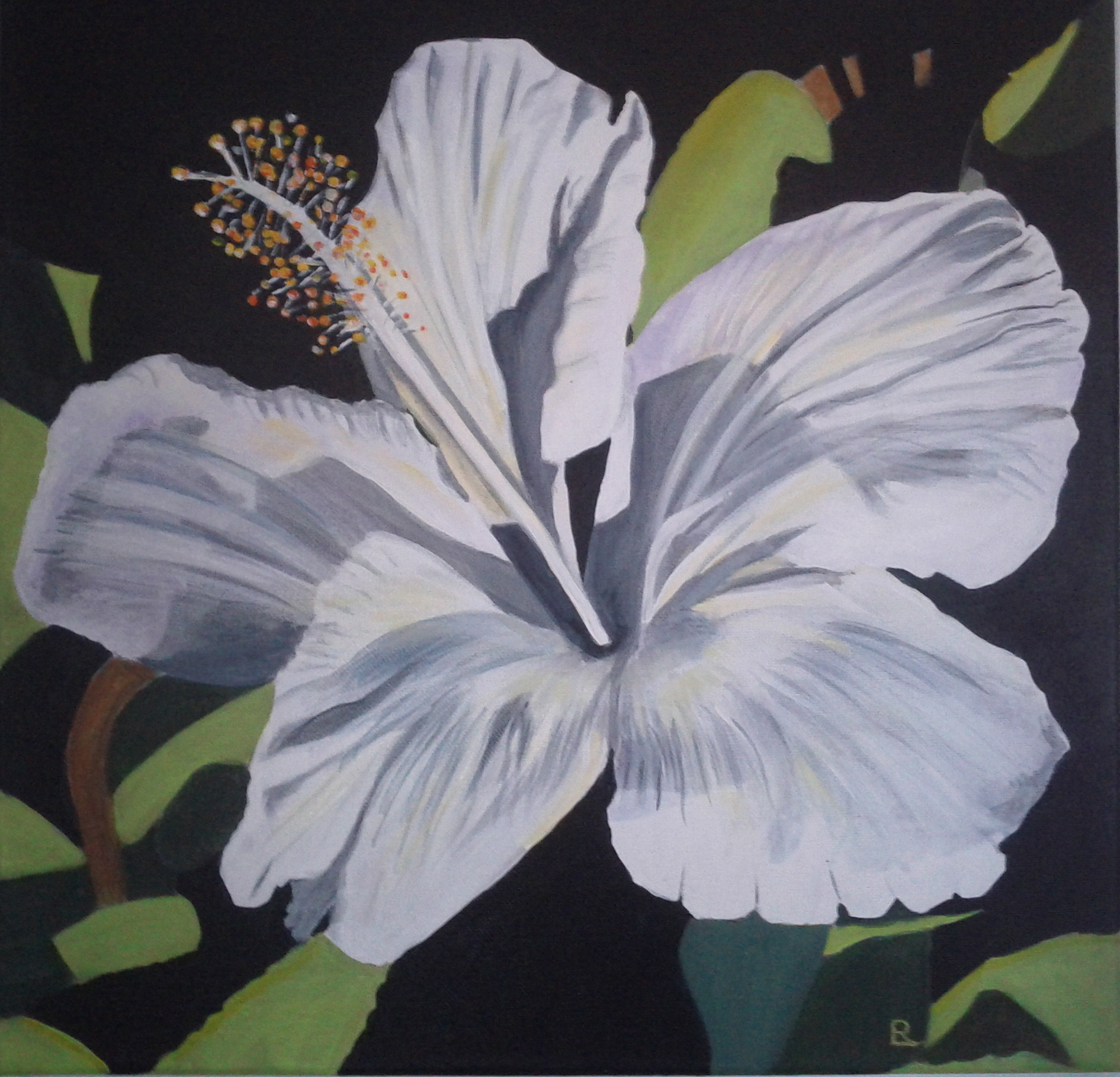 Acrylic Painting by Dawn Luttrell titled Hibiscus Princess