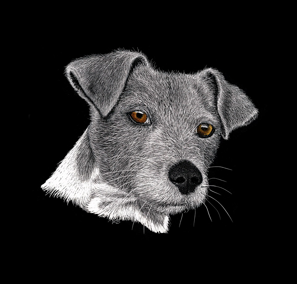 Ink Painting by Kay Brabham titled Billy