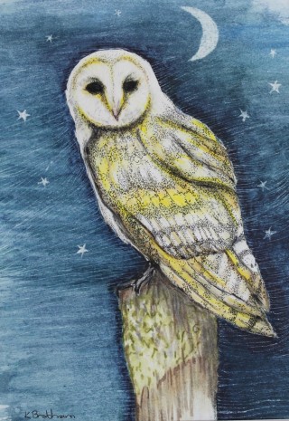 A  painting by Kay Brabham in the Realist style  depicting Animals Birds with main colour being Blue Grey and Yellow and titled Owl