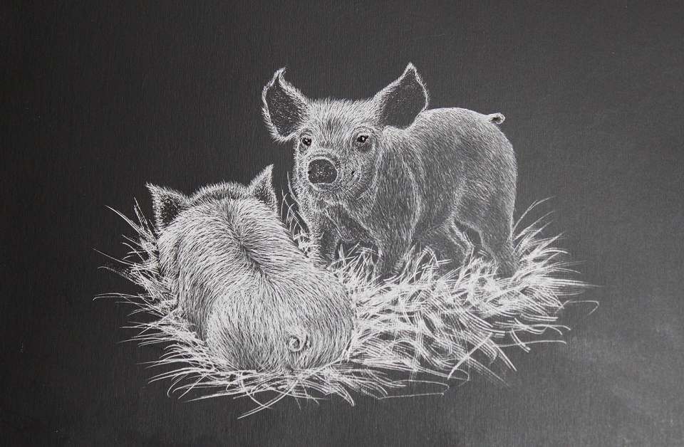 Ink Painting by Kay Brabham titled Perky Pig