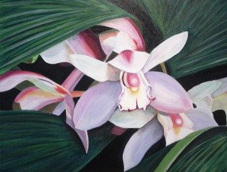 An Acrylic painting by Dawn Luttrell in the Realist style  depicting Flowers with main colour being Green and Pink and titled Orchid Bliss