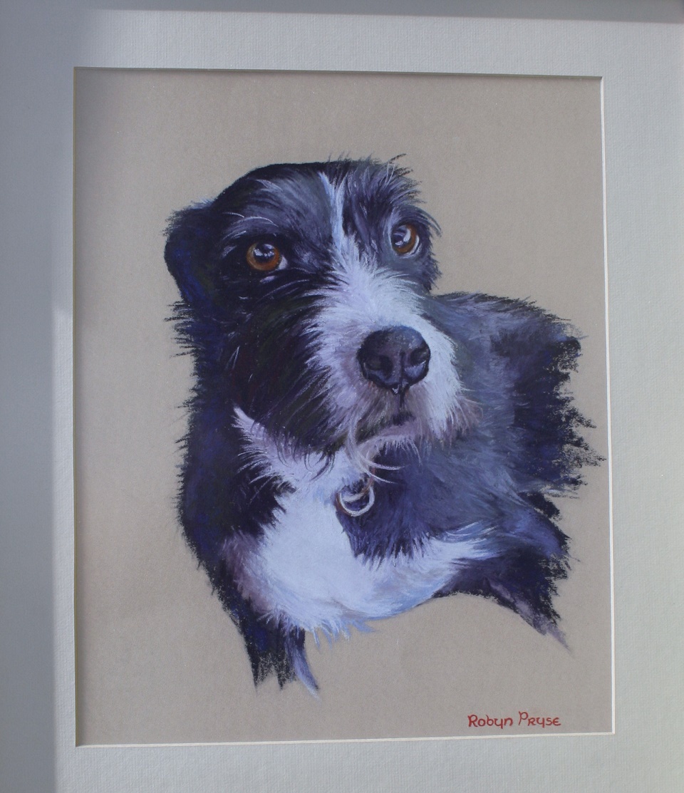 Pastel Painting by Robyn Pryse titled Jacko