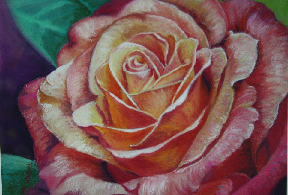 Pastel Painting by Robyn Pryse titled Red Rose