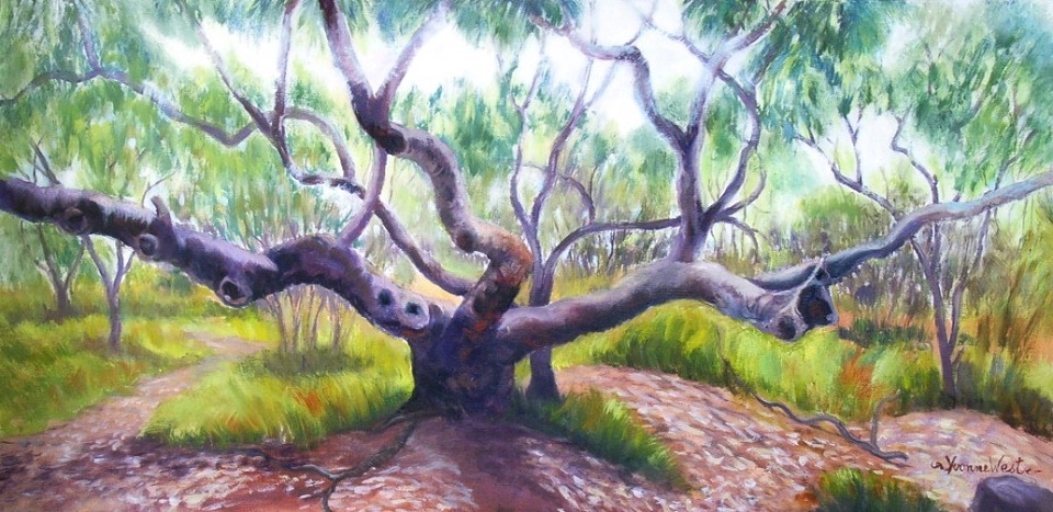 Acrylic Painting by Yvonne West titled Coastal Angophora