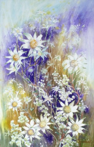 A Watercolour painting by Yvonne West in the Impressionist style  depicting Flowers with main colour being Blue Purple and White and titled Flannel Flowers