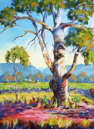 An Acrylic painting by Yvonne West in the Impressionist style  depicting Landscape Hills Mountains and Rural with main colour being Blue Green and Pink and titled Gum Tree W’sor
