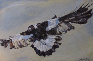 A Mixed Media painting by Bronwen Hunt in the Realist Impressionist style  depicting Animals Birds with main colour being Black Brown and Grey and titled Swoop