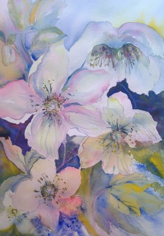 A Watercolour painting by Barbara McGuire in the Realist Impressionist style  depicting Flowers with main colour being Blue Cream and Pink and titled Pink & Blue Flowers