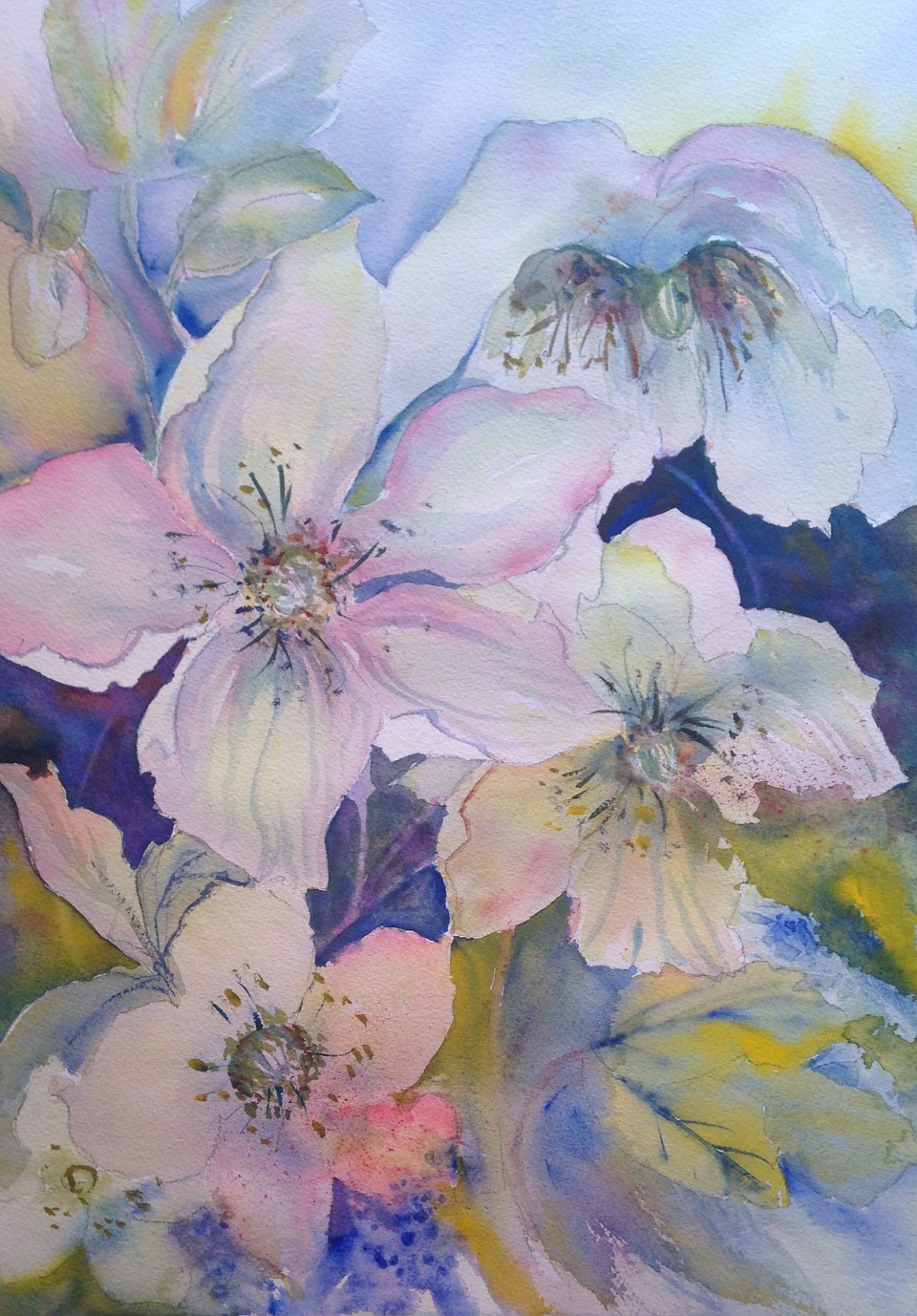 Watercolour Painting by Barbara McGuire titled Pink & Blue Flowers