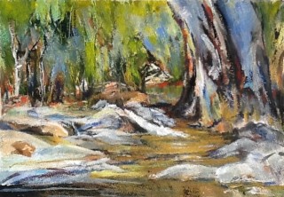 A Mixed Media painting by Barbara McGuire in the Realist Impressionist style  depicting Landscape Trees with main colour being Black Blue and Brown and titled The Pool