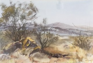 A Watercolour painting by Barbara McGuire in the Realist style  depicting Landscape Rural and Trees with main colour being Blue Ochre and Olive and titled Australian Landscape