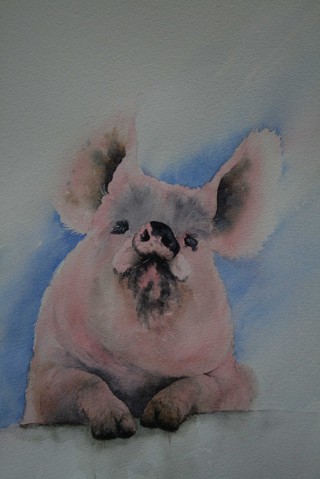 A Watercolour painting by Sharon Moroney in the Realist Impressionist style  depicting Animals with main colour being Blue and Pink and titled Pig out