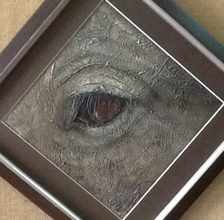 A  painting by Ainsley McPherson in the Realist style  depicting Animals with main colour being Grey and titled The Eye
