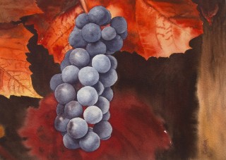 A Watercolour painting by Brian Garner in the Realist style  depicting Fruit with main colour being Black Purple and Red and titled Autumn Reds