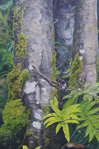 A Watercolour painting by Brian Garner in the Realist style  depicting Trees with main colour being Green Grey and Olive and titled The Resting Place