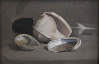 An Oil painting by Rachel Dettmann in the Realist style  depicting Still Life Beach with main colour being Grey and titled Shells & Feather