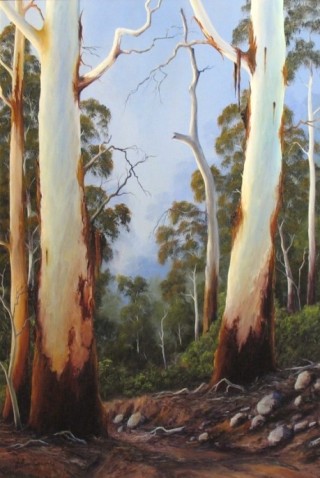 An Oil painting by JOHN COCORIS in the Realist style  depicting Landscape Bush Fantasy and Mountains and titled GUMTREE STUDY