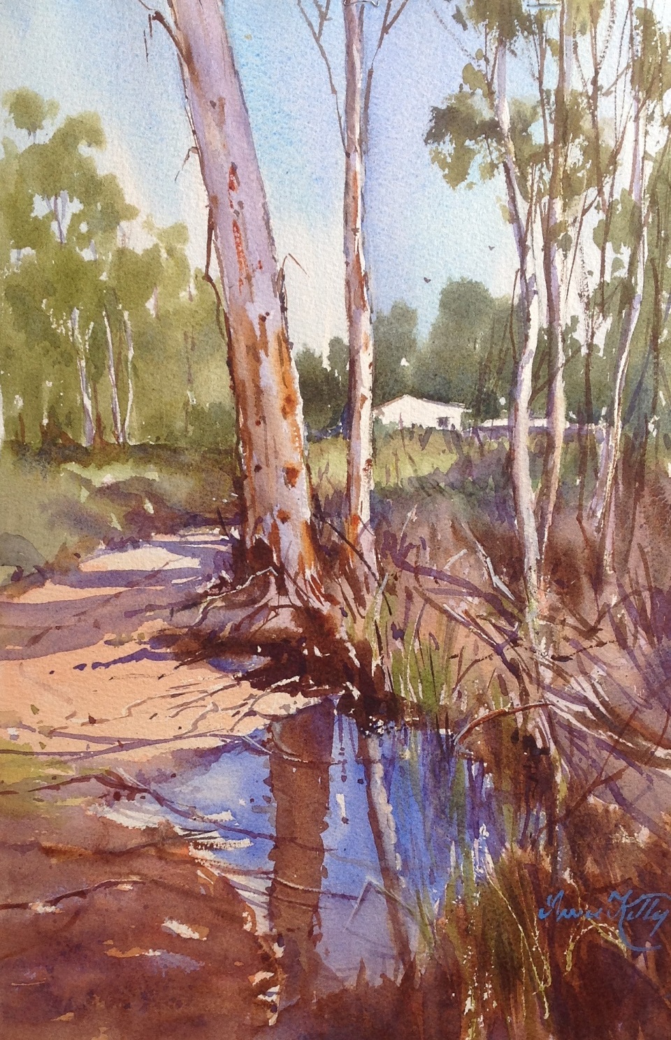 Watercolour Painting by Annee Kelly titled After the Rain