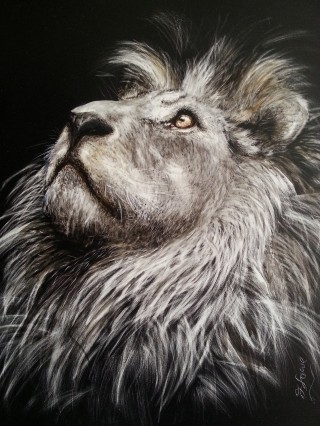 A Scratchboard painting by Jan Lowe in the Realist style  depicting Animals with main colour being Black Grey and Ochre and titled Ode to Cecil