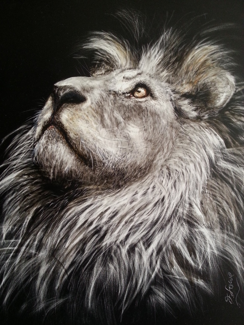 Scratchboard Painting by Jan Lowe titled Ode to Cecil