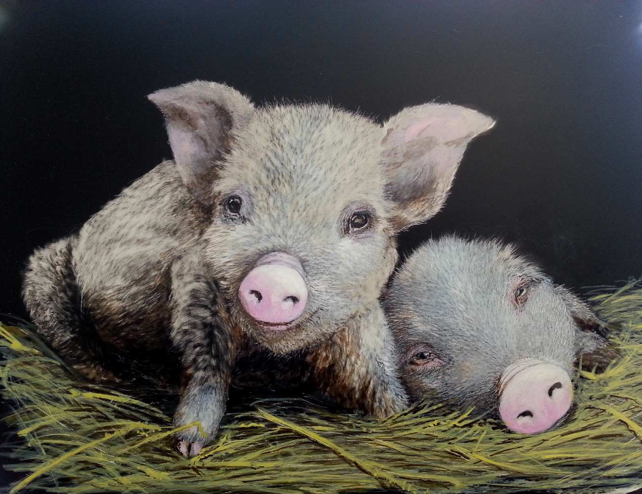 Scratchboard Painting by Jan Lowe titled Nancy and her sleepy friend