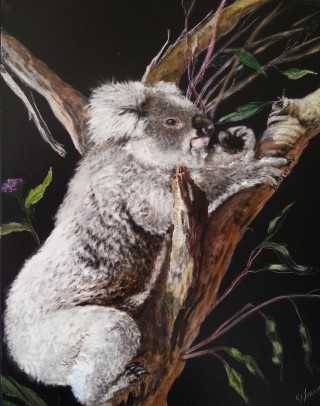 A  painting by Jan Lowe in the Realist style  depicting Animals with main colour being Black Brown and Cream and titled Hissy, the Koala