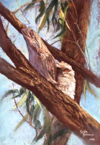A Pastel artwork by Lynda Robinson in the Realist style  depicting Animals Birds and titled 'Tawnies'