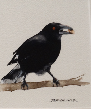 A Watercolour painting by Jeff Gilmour in the Realist style  depicting Animals with main colour being Black and titled Lunch for a Currawong