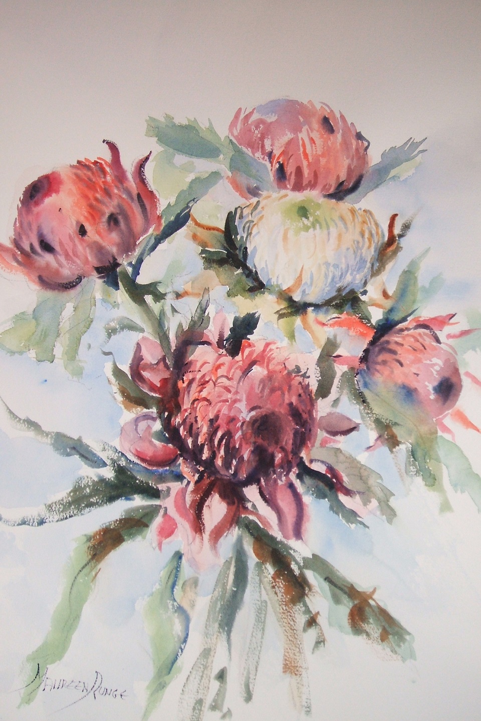 Watercolour Painting by Maureen Runge titled WARRATAH