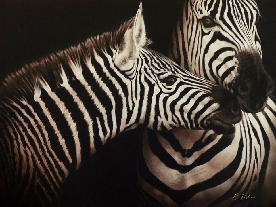 Scratchboard Painting by Rikki Fisher titled A Nuzzling Moment