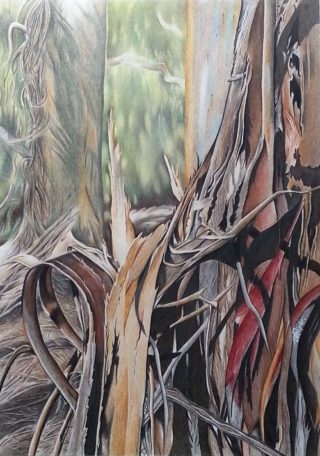 A Coloured Pencils painting by Michelle Ripari in the Realist style  depicting Bush and Trees with main colour being Brown Grey and Ochre and titled Enduring Stillness