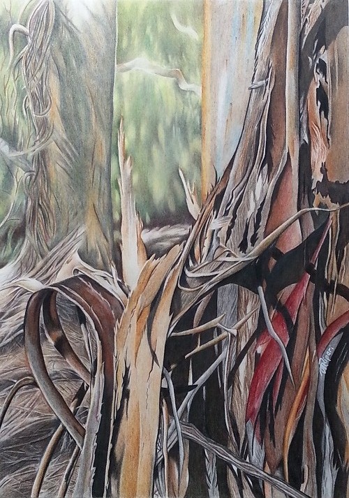 Coloured Pencils Painting by Michelle Ripari titled Enduring Stillness