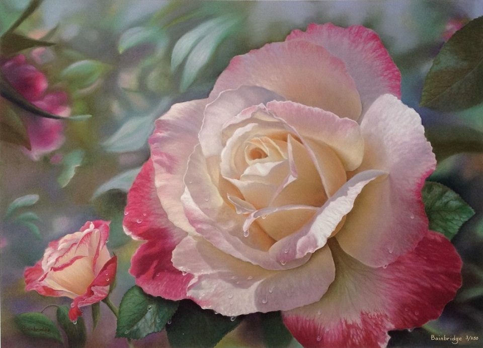 Pastel Painting by Maureen Bainbridge titled Double Delight