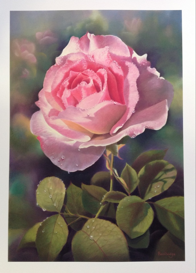 Pastel Painting by Maureen Bainbridge titled Early Morning Dew