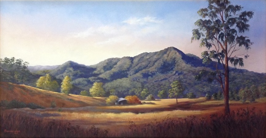 Oil Painting by Maureen Bainbridge titled Afternoon Glow – Dorrigo
