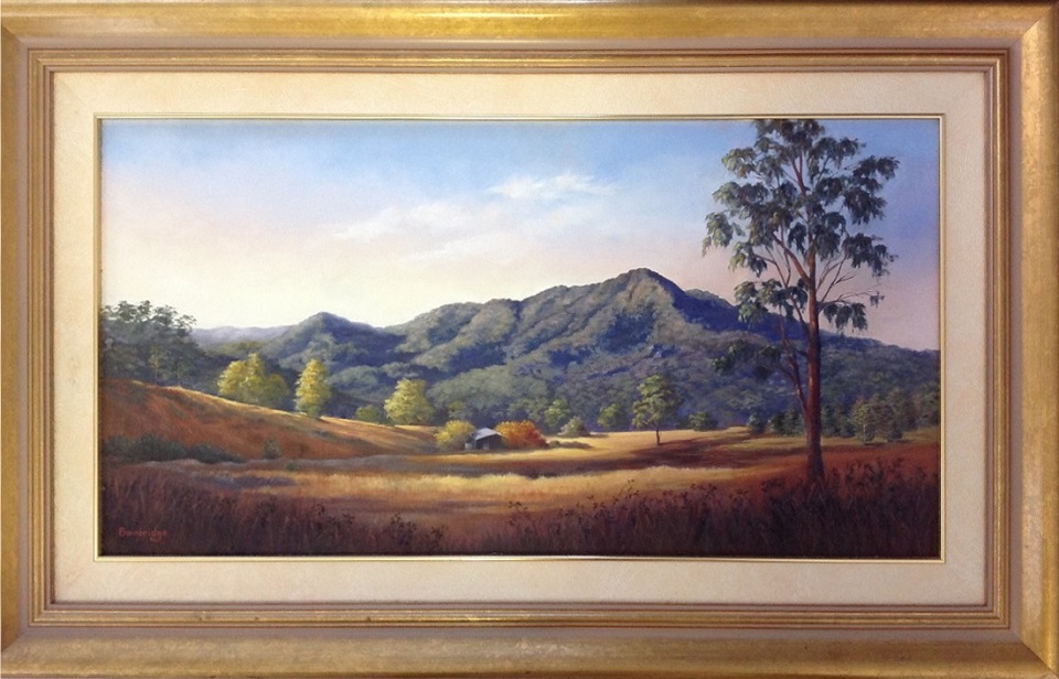Oil Painting by Maureen Bainbridge titled Afternoon Glow – Dorrigo